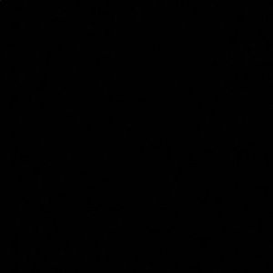 Meet your Posher, Kenny